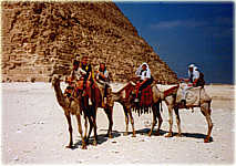 Unsere Karawane auf dem Weg nach Sakkara