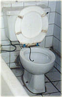 Die berühmte Gesäßdusche