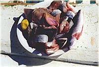 In einer halben Stunde war das Mittagessen gefangen