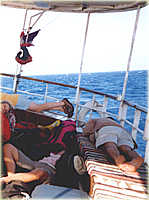 Die ersten Seekranken