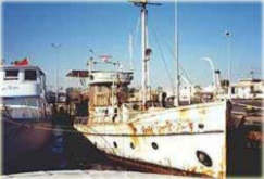 Die MIMI MASRI im Hafen von Hurghada