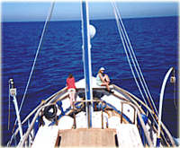 Am Bug der MIMI MASRI