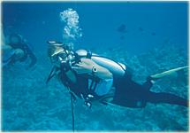 Bei einem der Tauchgänge im Roten Meer