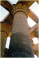 Der Säulensaal